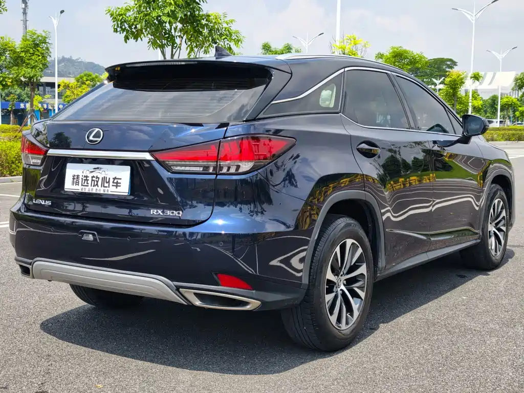 Lexus RX — миниатюра 4