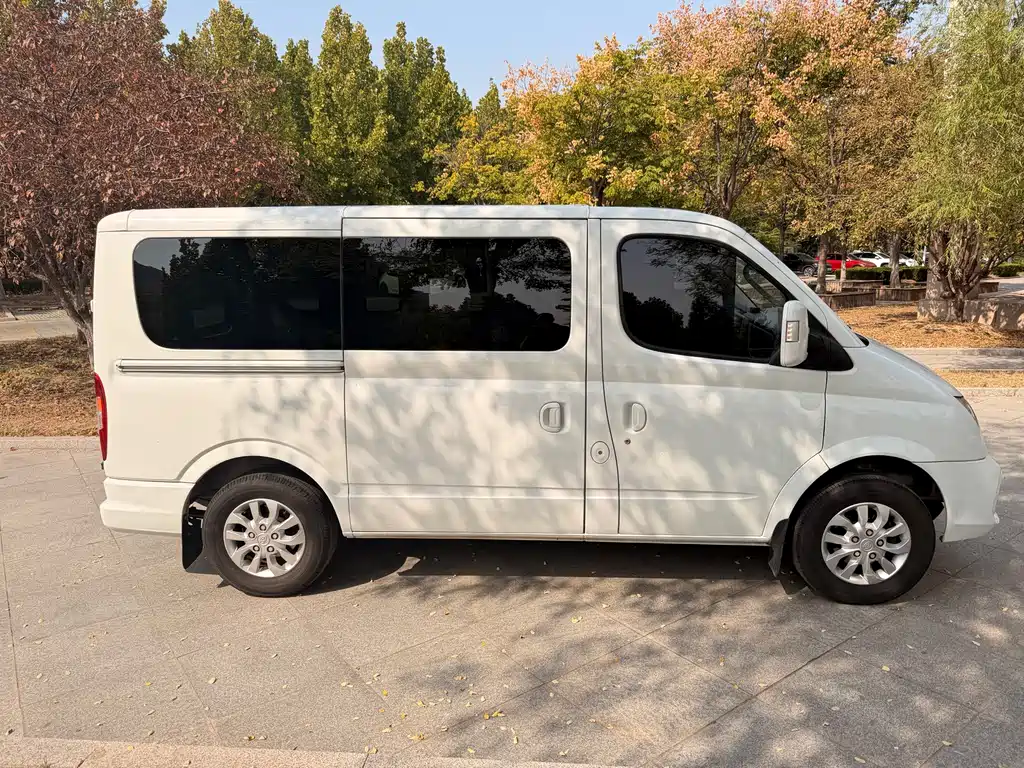 MAXUS V80 — миниатюра 7