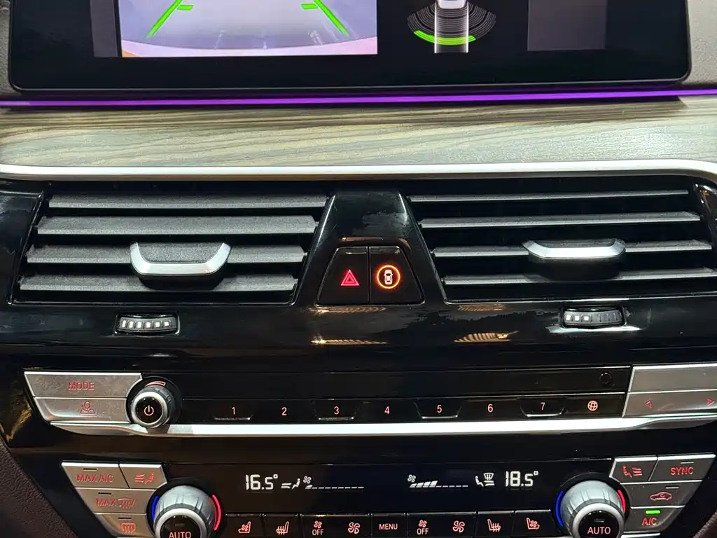 BMW 5 SERIES NEW ENERGY