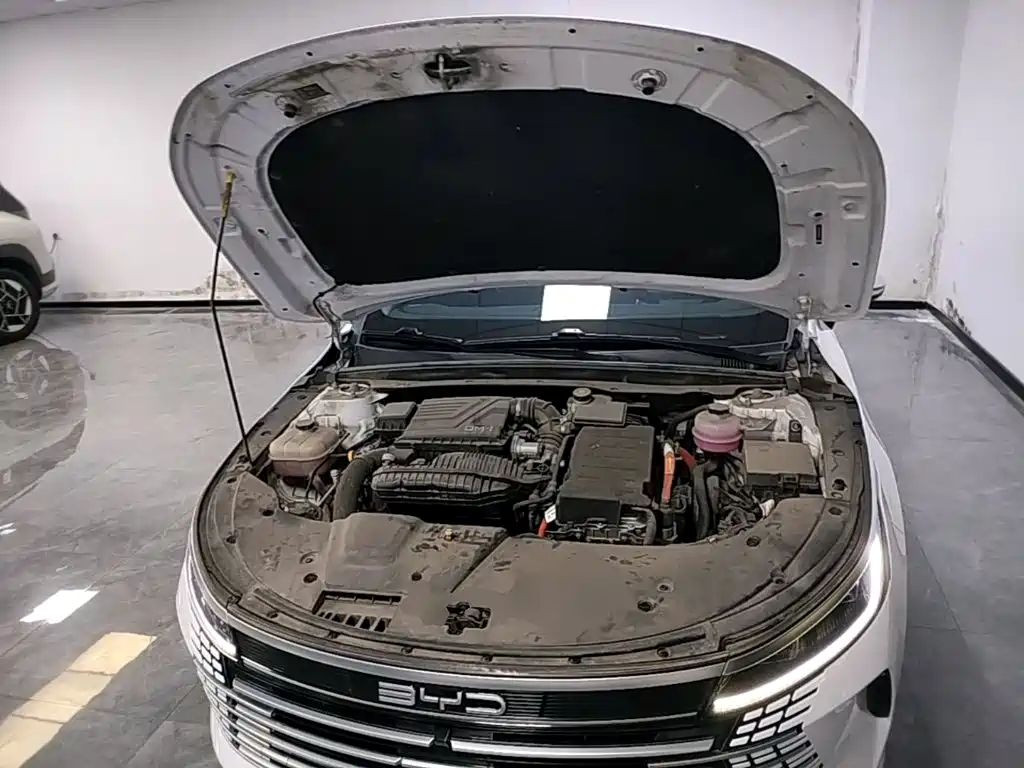 BYD Destroyer 05 — миниатюра 20