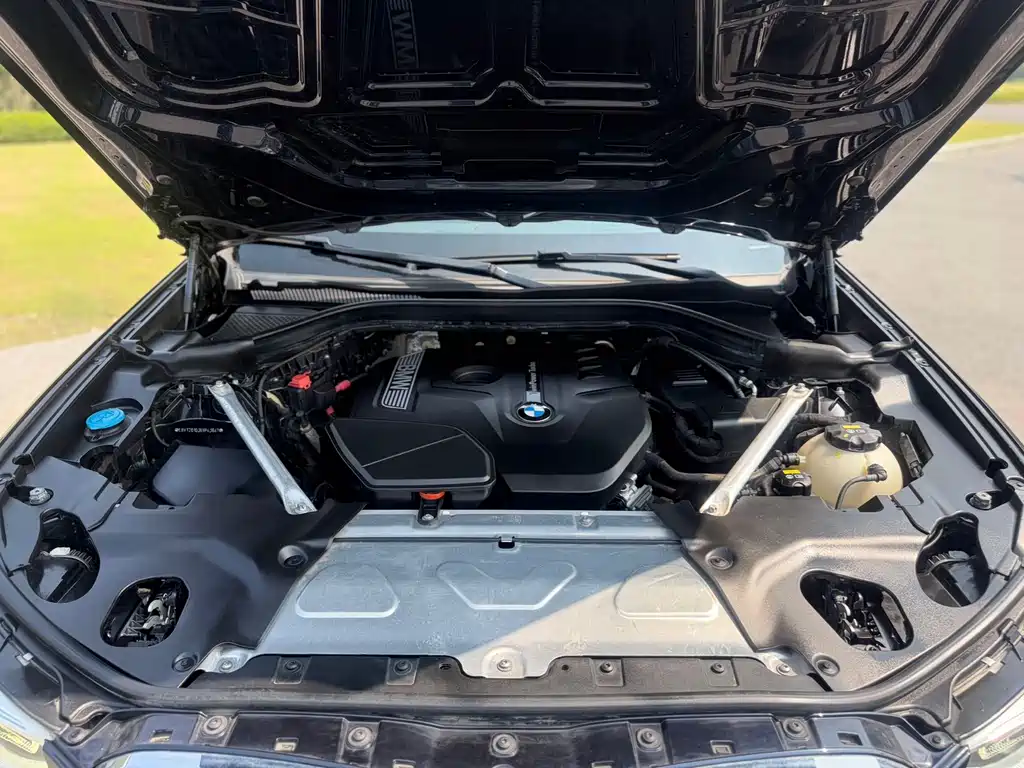 BMW X3 2018 xDrive30i Lead M Sport V