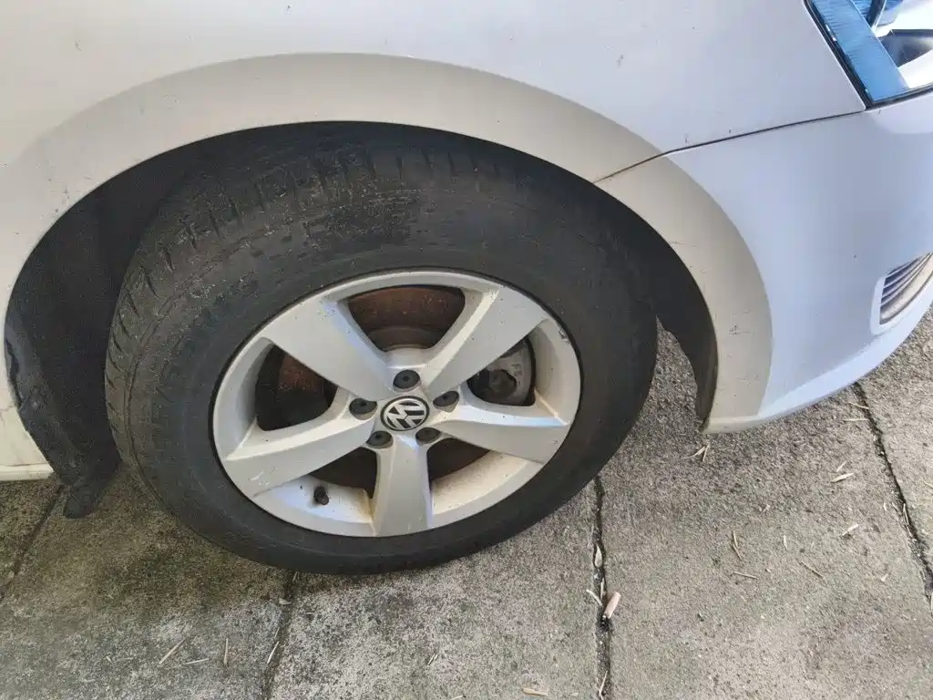 Volkswagen Gran Lavida — миниатюра 8