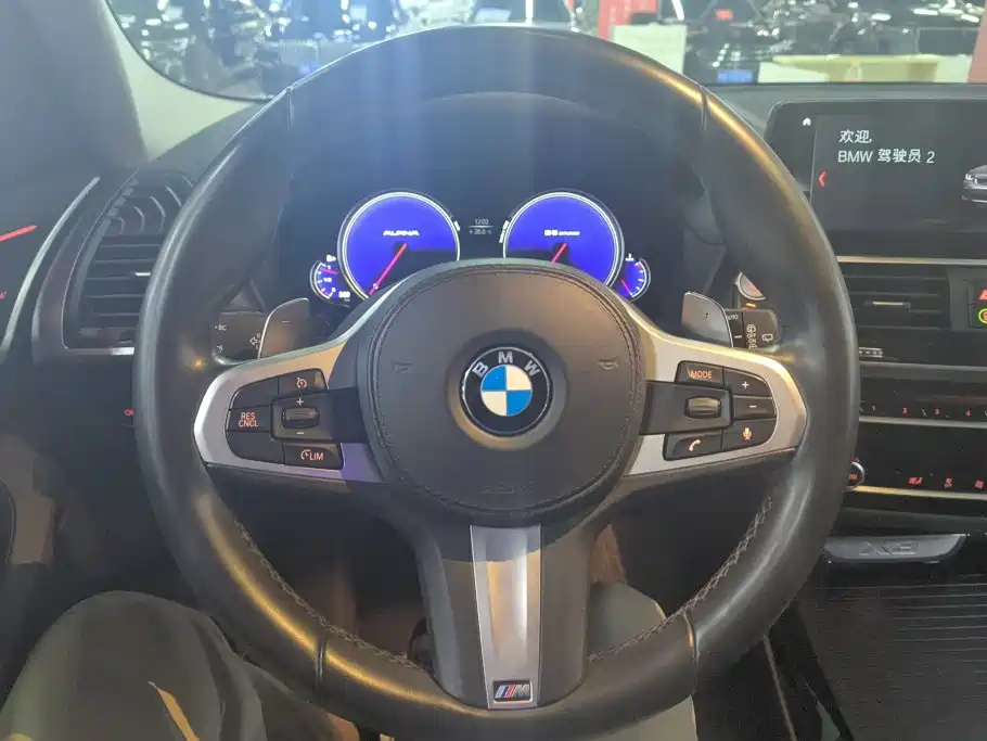 BMW X3 — миниатюра 15