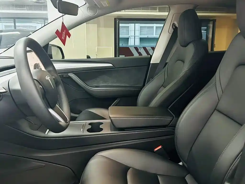 Tesla Model Y — миниатюра 7