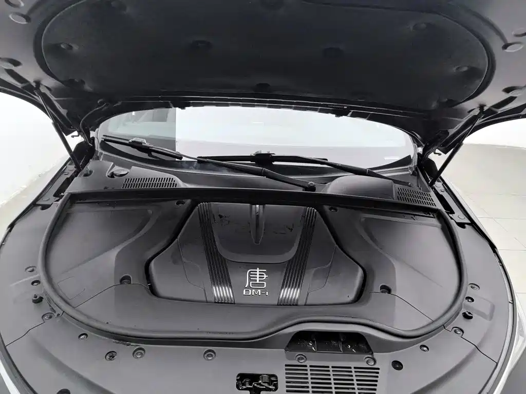 BYD Tang New Energy — миниатюра 6