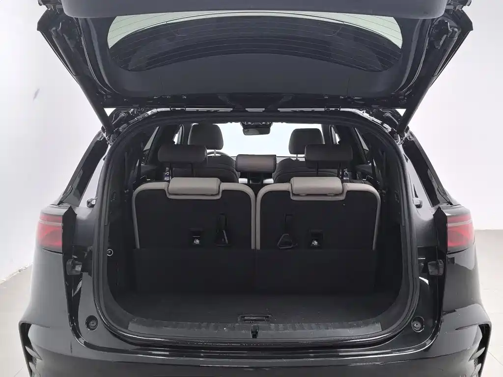 BYD Tang New Energy — миниатюра 16