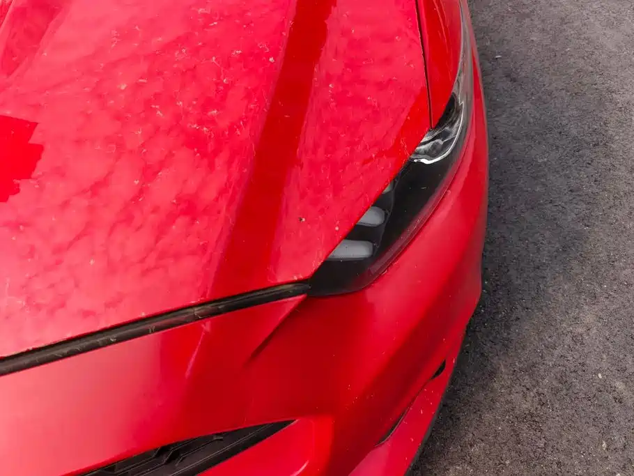 Ford Mustang — миниатюра 5