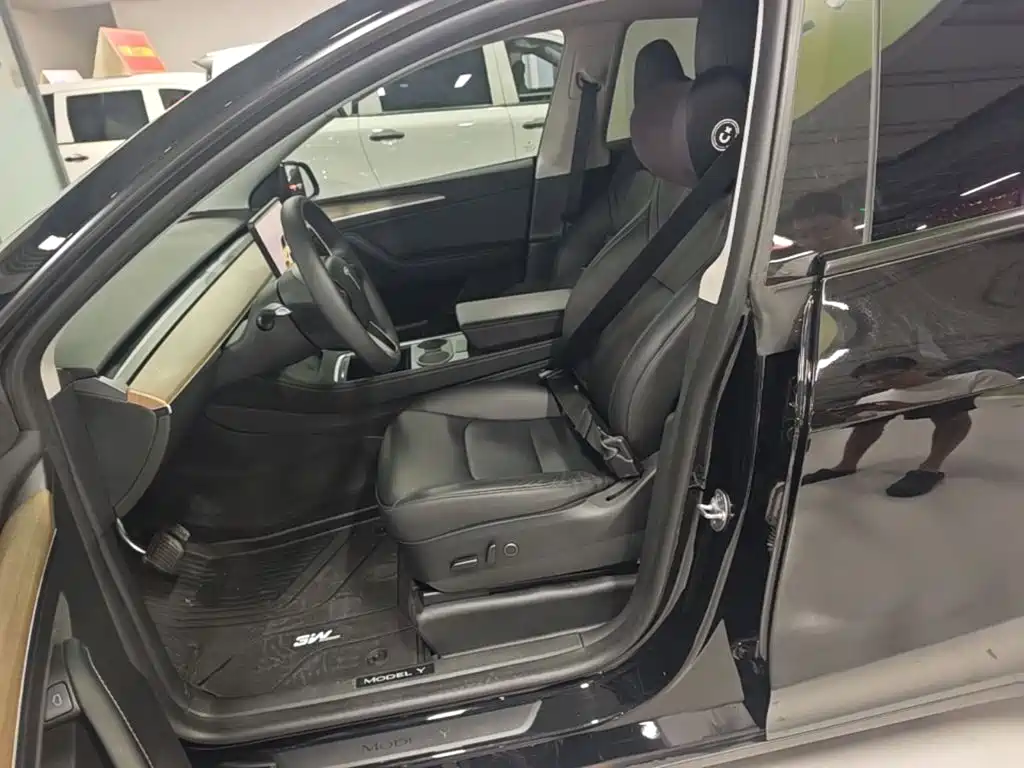 Tesla Model Y — миниатюра 15