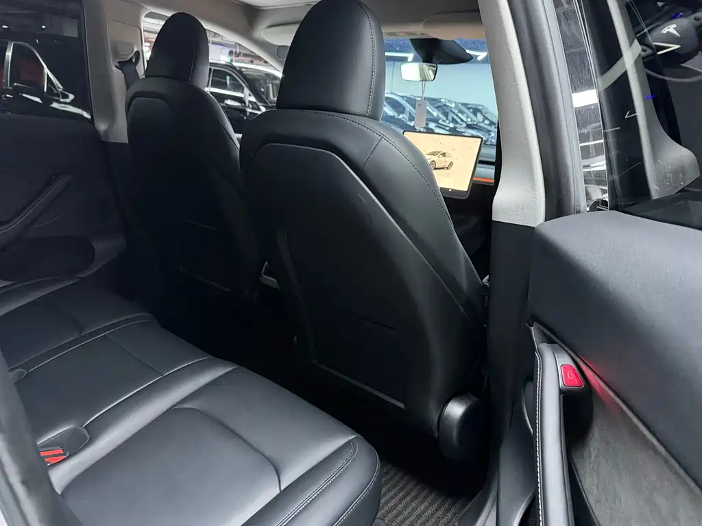 Tesla Model Y — миниатюра 7
