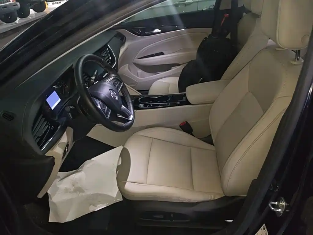 Buick Regal — миниатюра 15