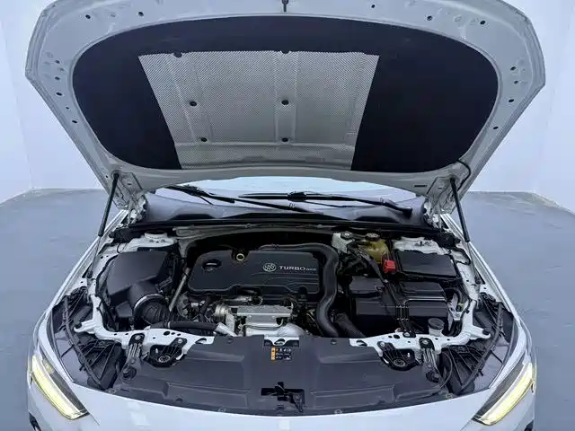 Buick Regal — миниатюра 15