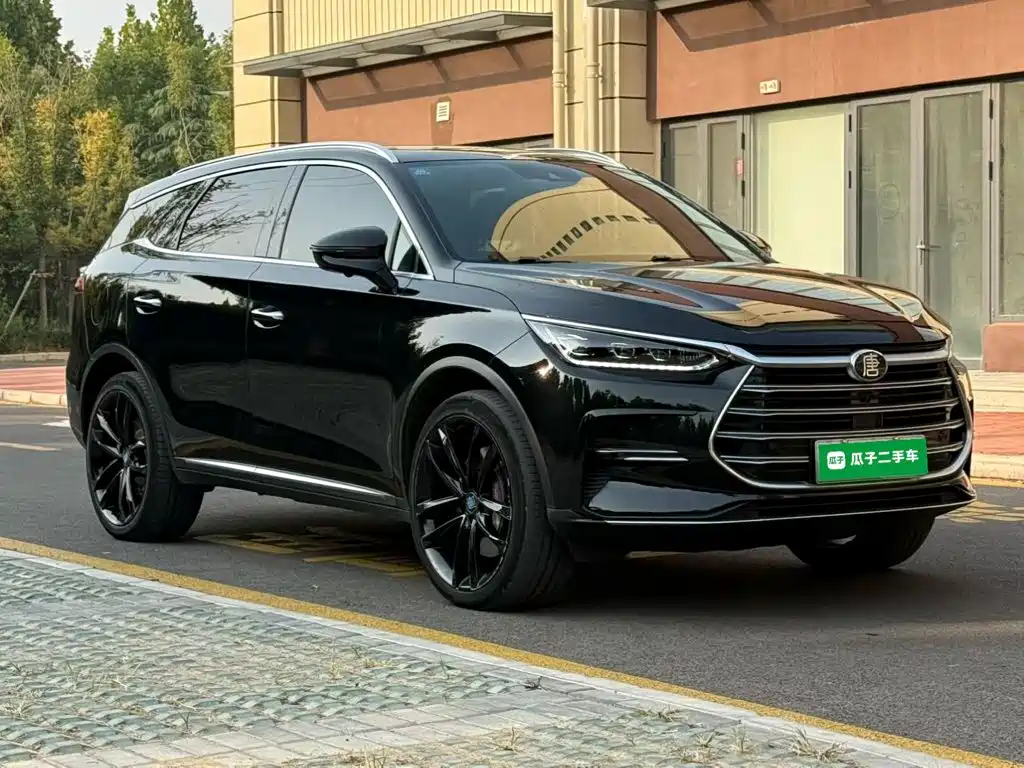 BYD Tang New Energy — миниатюра 4