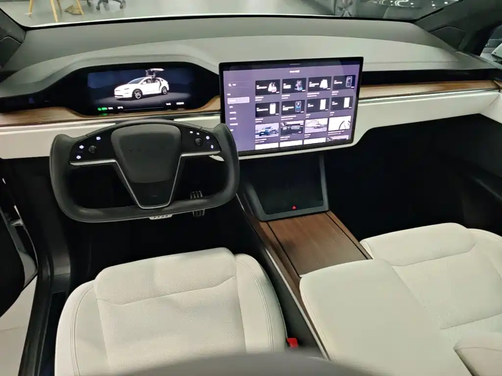 Tesla Model X — миниатюра 10