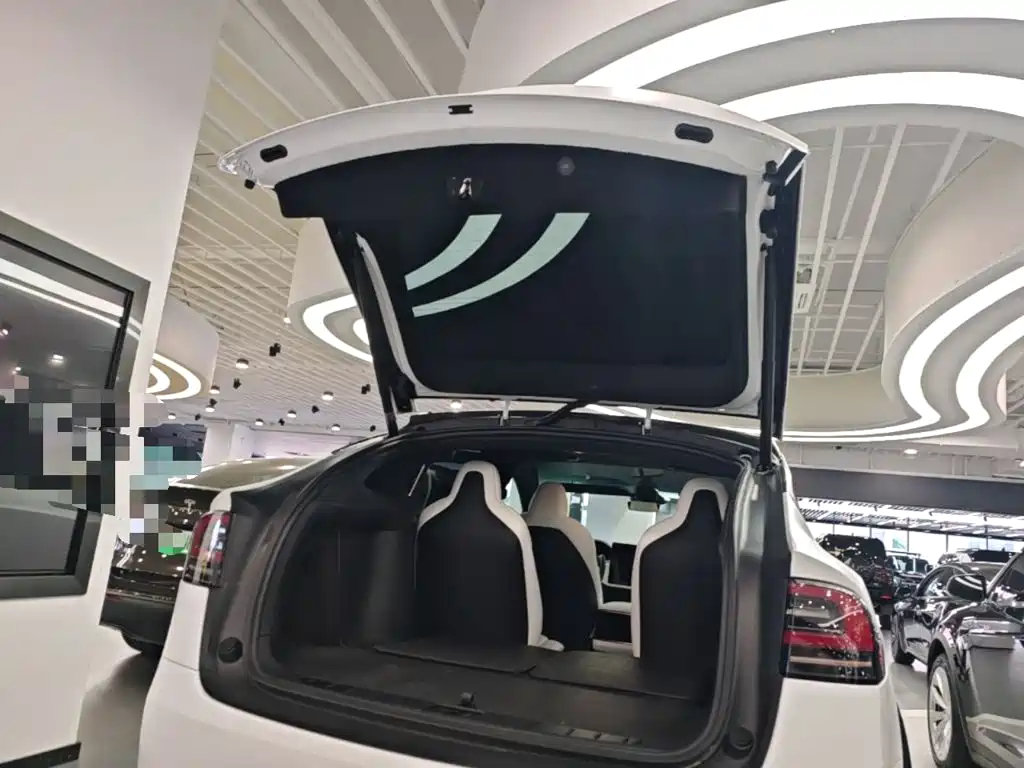 Tesla Model X — миниатюра 19