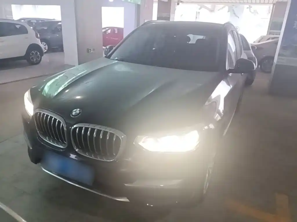 BMW X3 — миниатюра 2