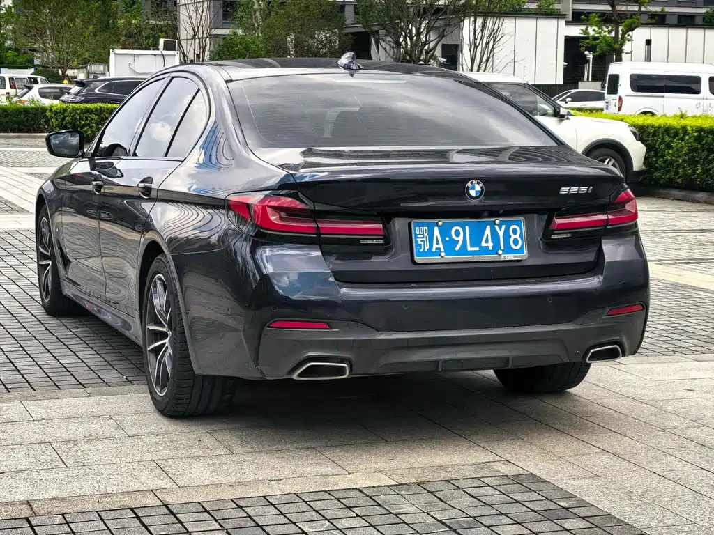 BMW 5 Series (Import) — миниатюра 6