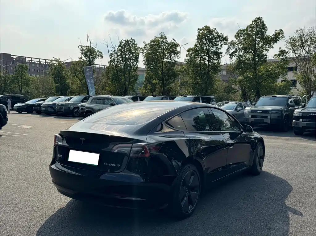Tesla Model 3 — миниатюра 15