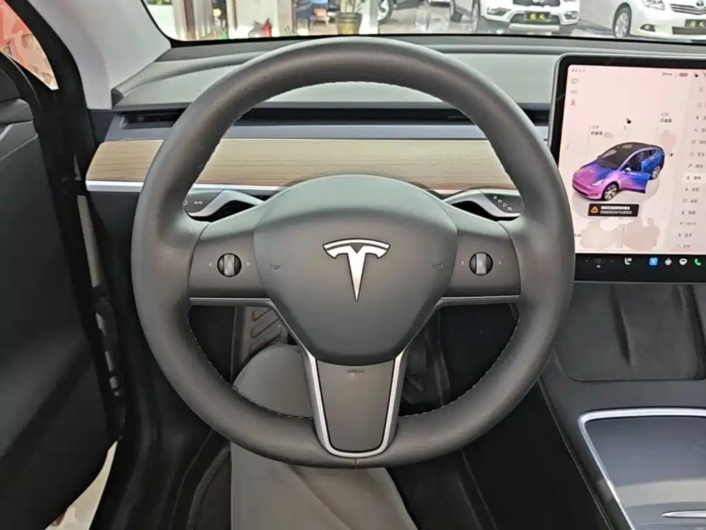 Tesla Model Y — миниатюра 11