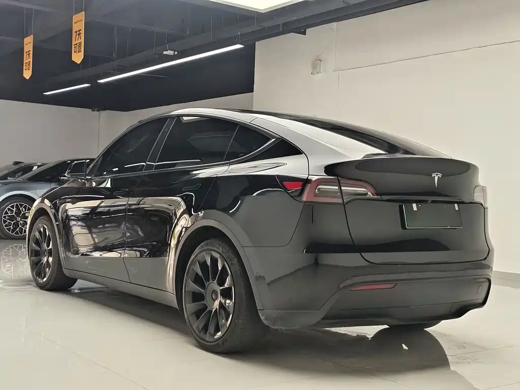 Tesla Model Y — миниатюра 6