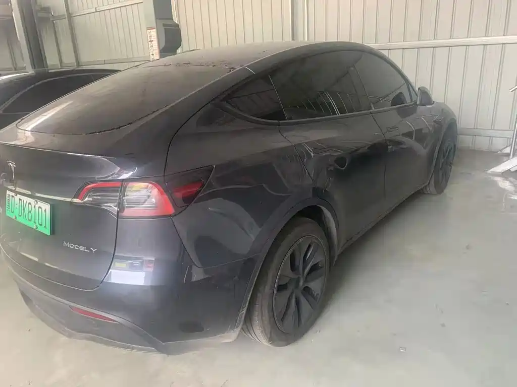 Tesla Model Y — миниатюра 7