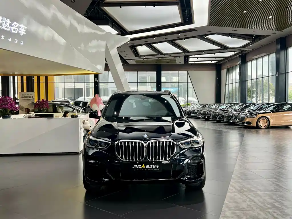 BMW X5 — миниатюра 4