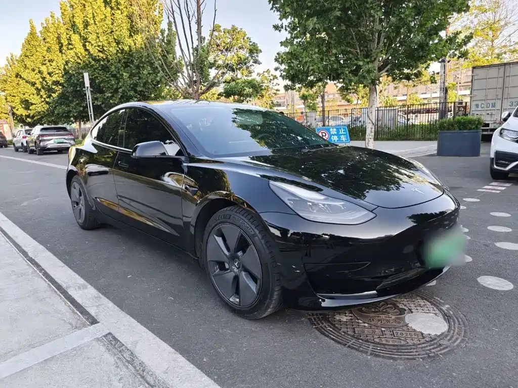 Tesla Model 3 — миниатюра 6