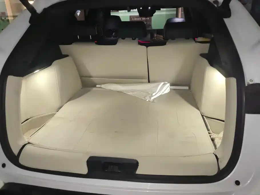 BYD PLUS New Energy — миниатюра 4