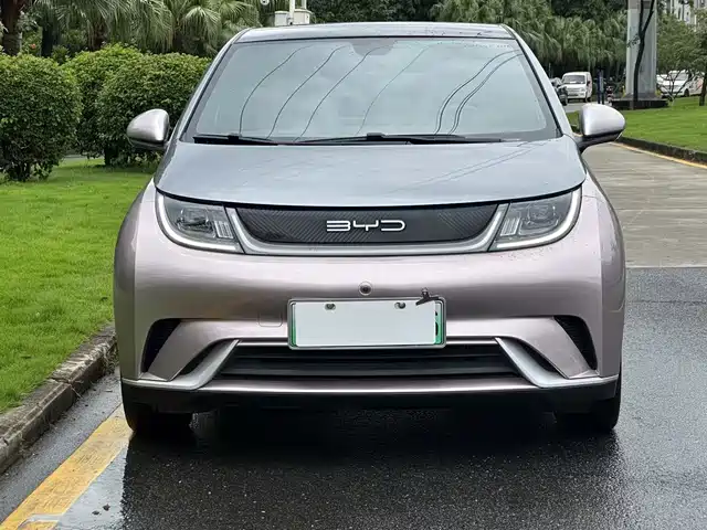 2022 BYD Dolphin