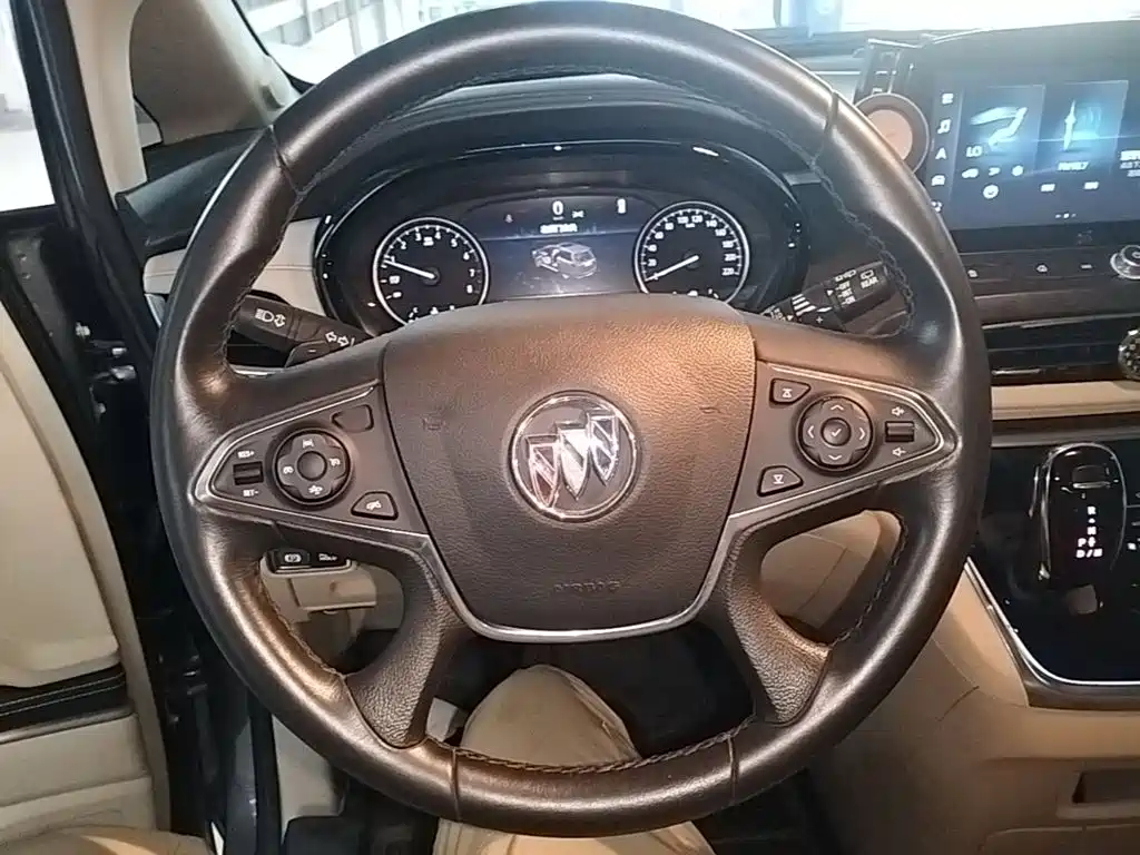 Buick GL8 — миниатюра 11
