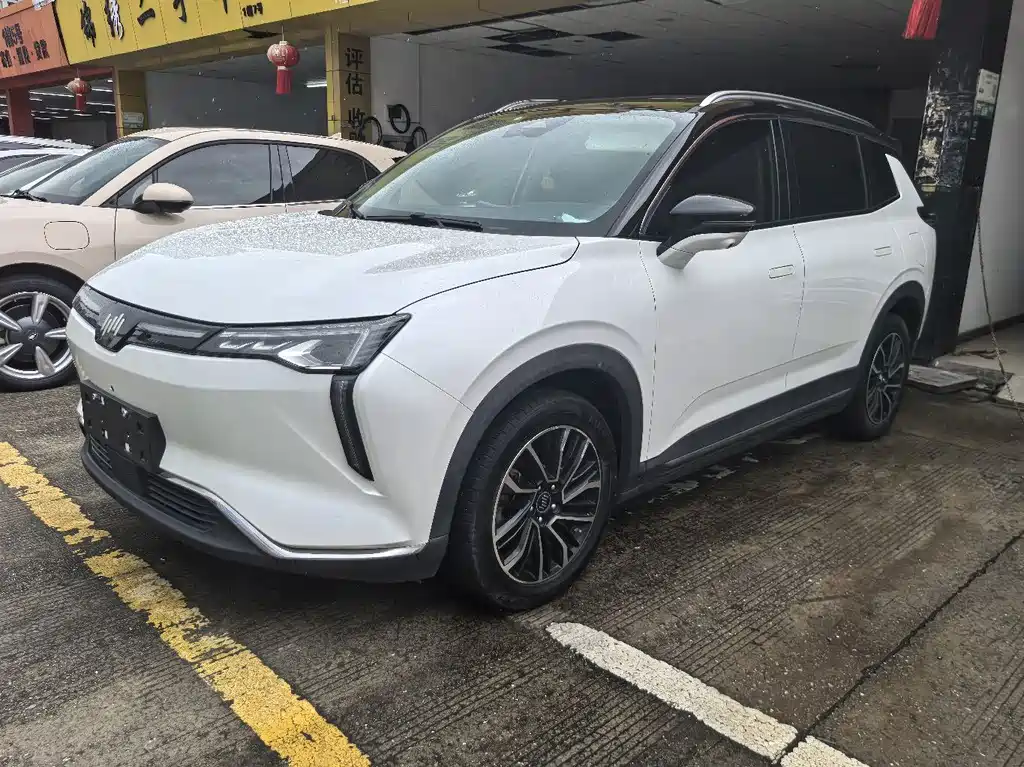 WM Motor W6