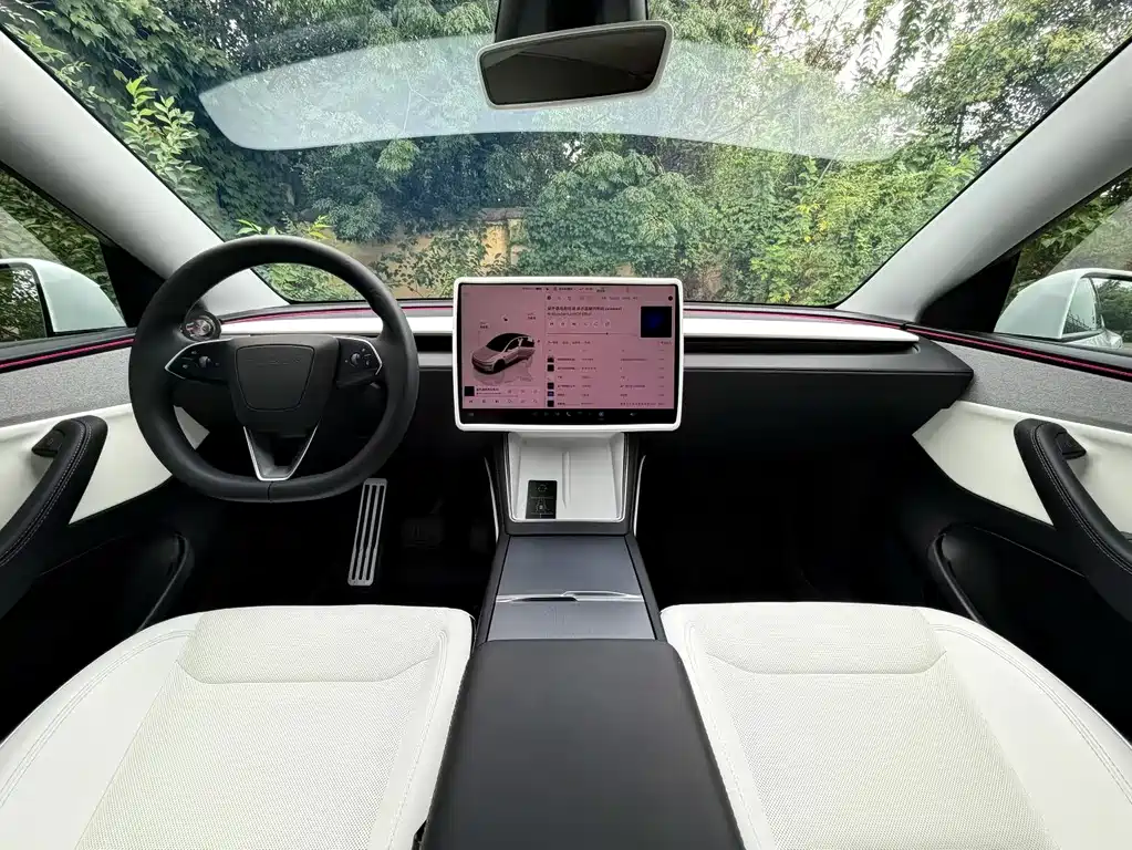 Tesla Model Y — миниатюра 3