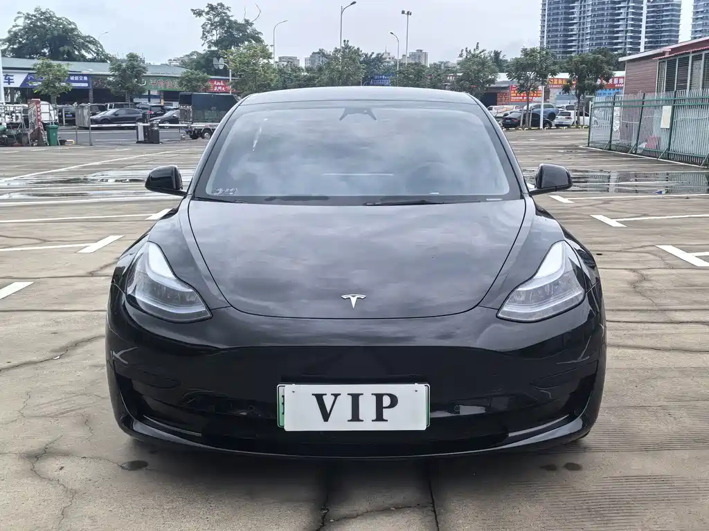 Tesla Model 3 — миниатюра 3