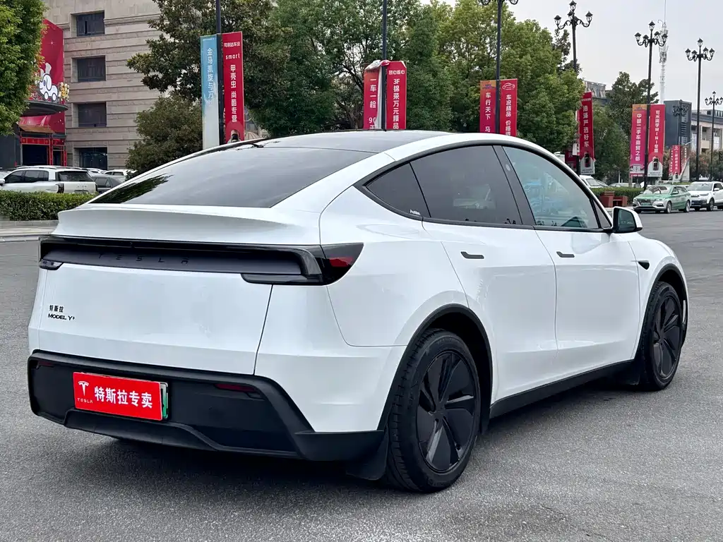 Tesla Model Y — миниатюра 11