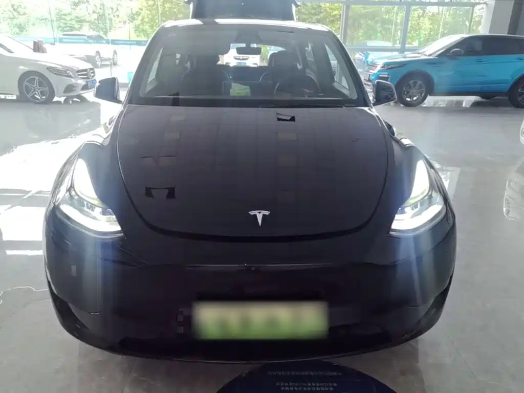 Tesla Model Y — миниатюра 3