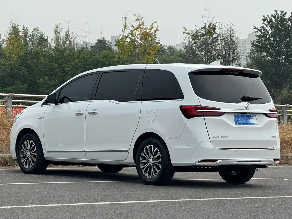 Buick GL8 — миниатюра 15