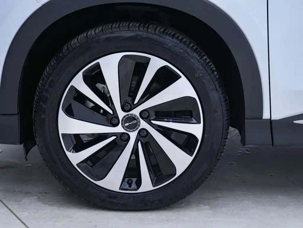 BYD PLUS New Energy — миниатюра 10