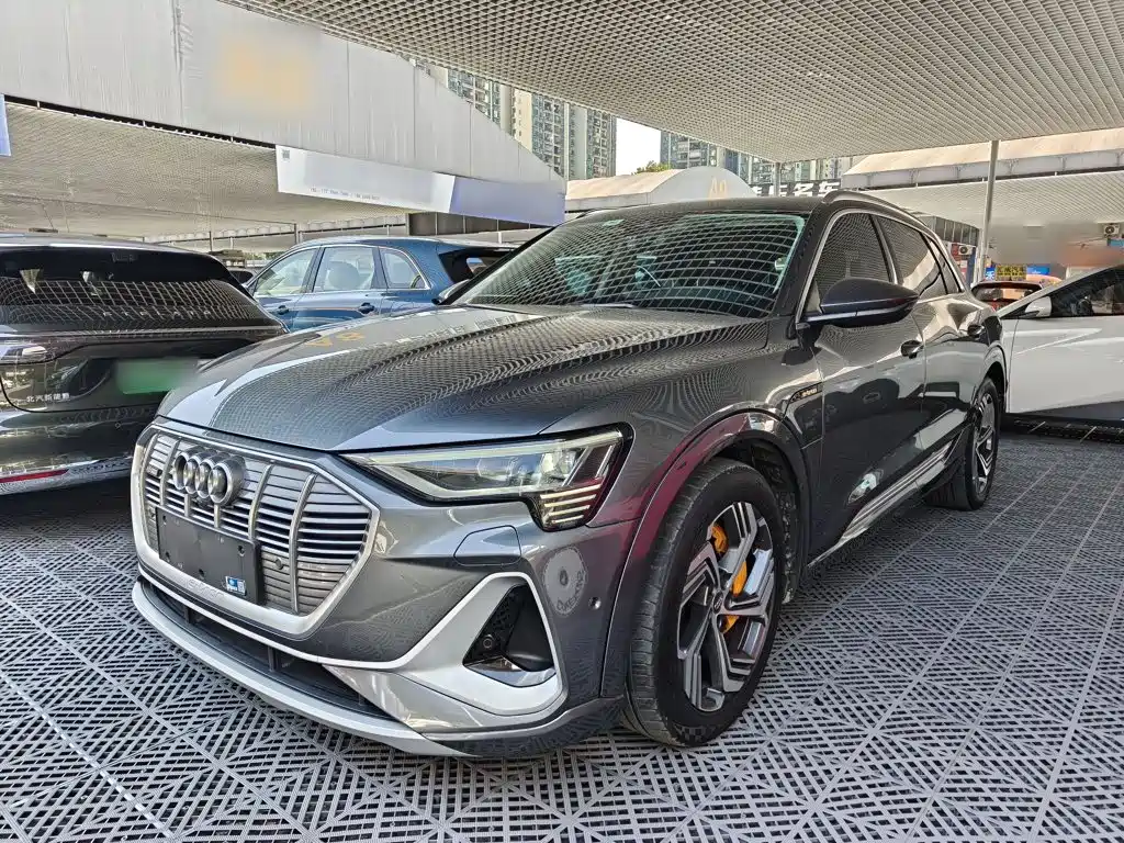 Audi e-tron — миниатюра 2