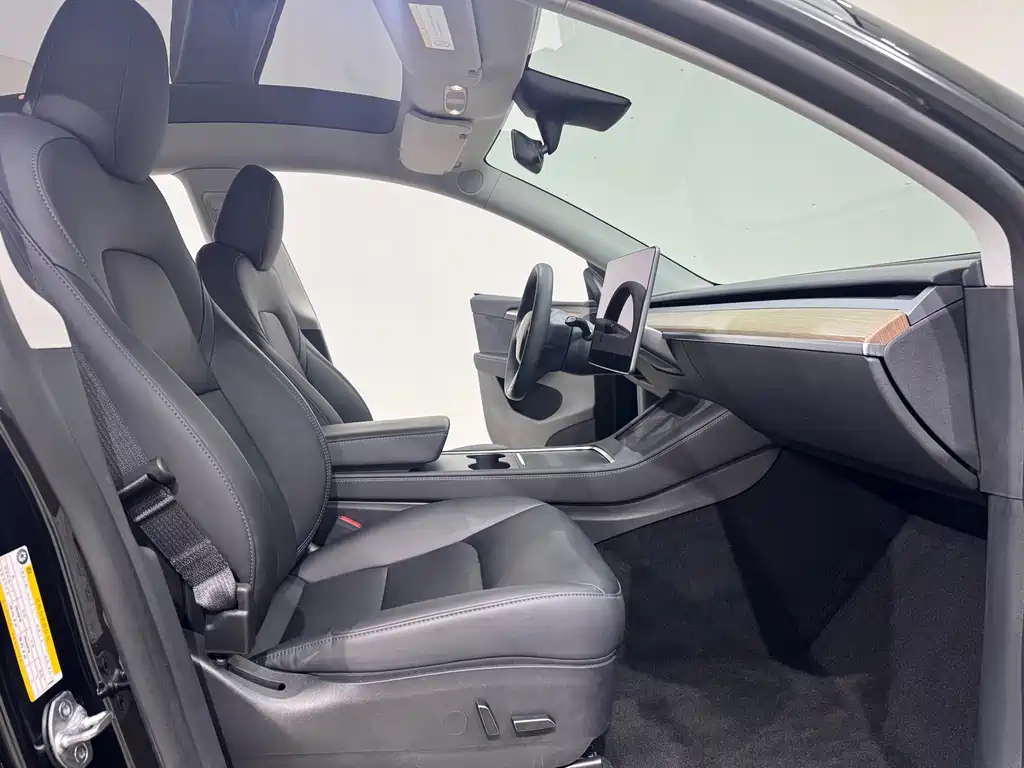 Tesla Model Y — миниатюра 8