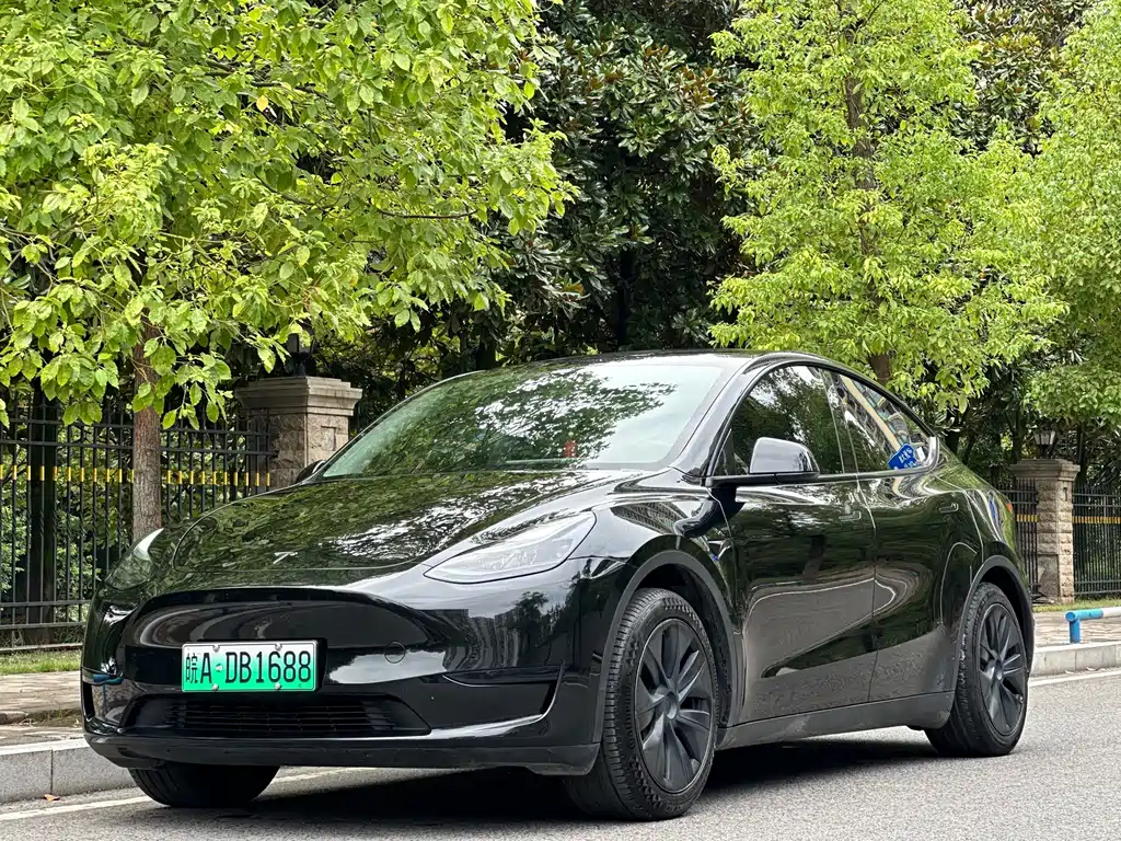 Tesla Model Y — миниатюра 10