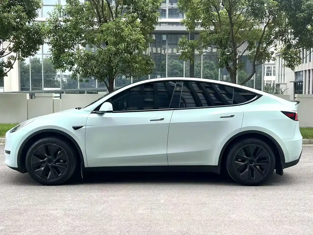 Tesla Model Y — миниатюра 7