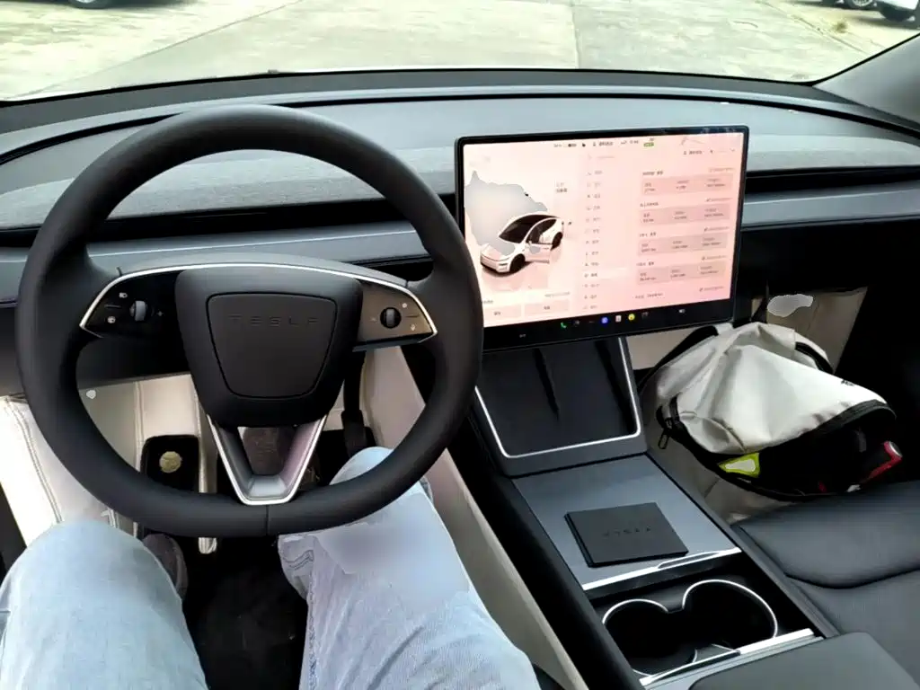Tesla Model Y — миниатюра 10