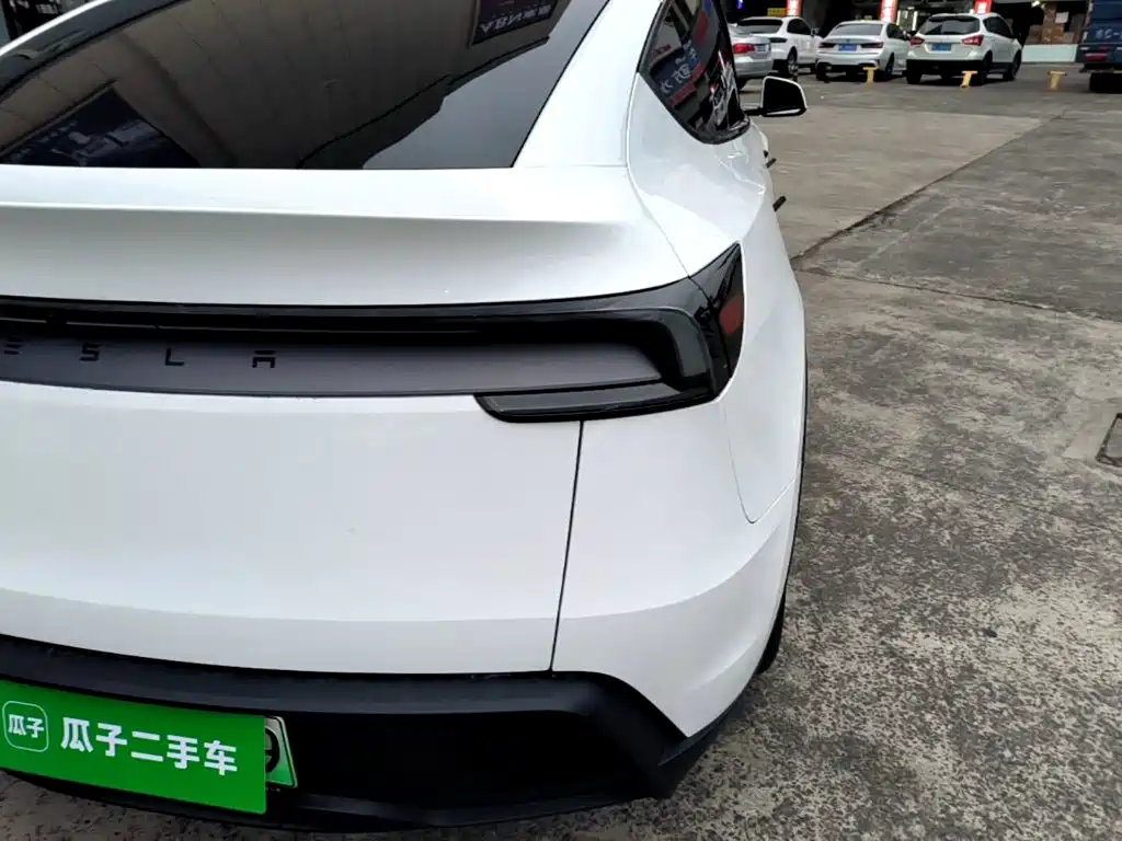 Tesla Model Y — миниатюра 8