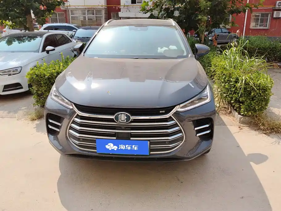 BYD Tang New Energy — миниатюра 2