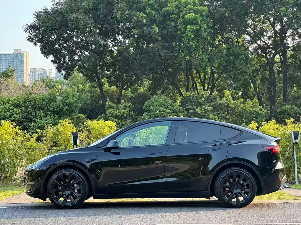 Tesla Model Y — миниатюра 12