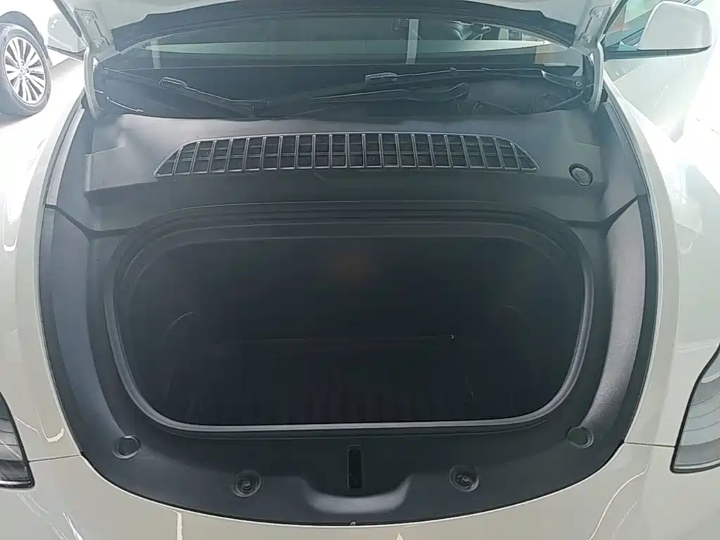 Tesla Model Y — миниатюра 20