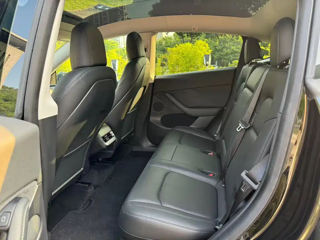 Tesla Model Y — миниатюра 13
