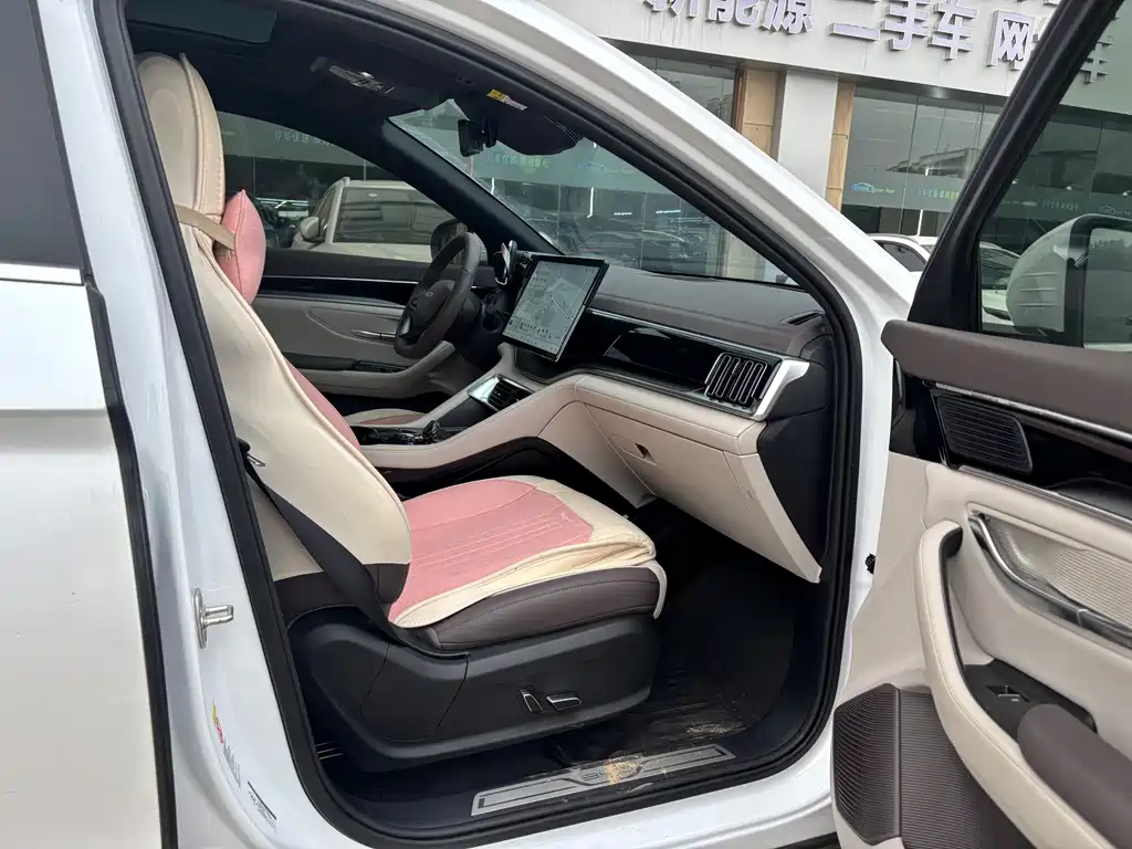 BYD PLUS New Energy — миниатюра 13