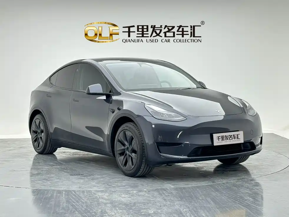Tesla Model Y — миниатюра 8