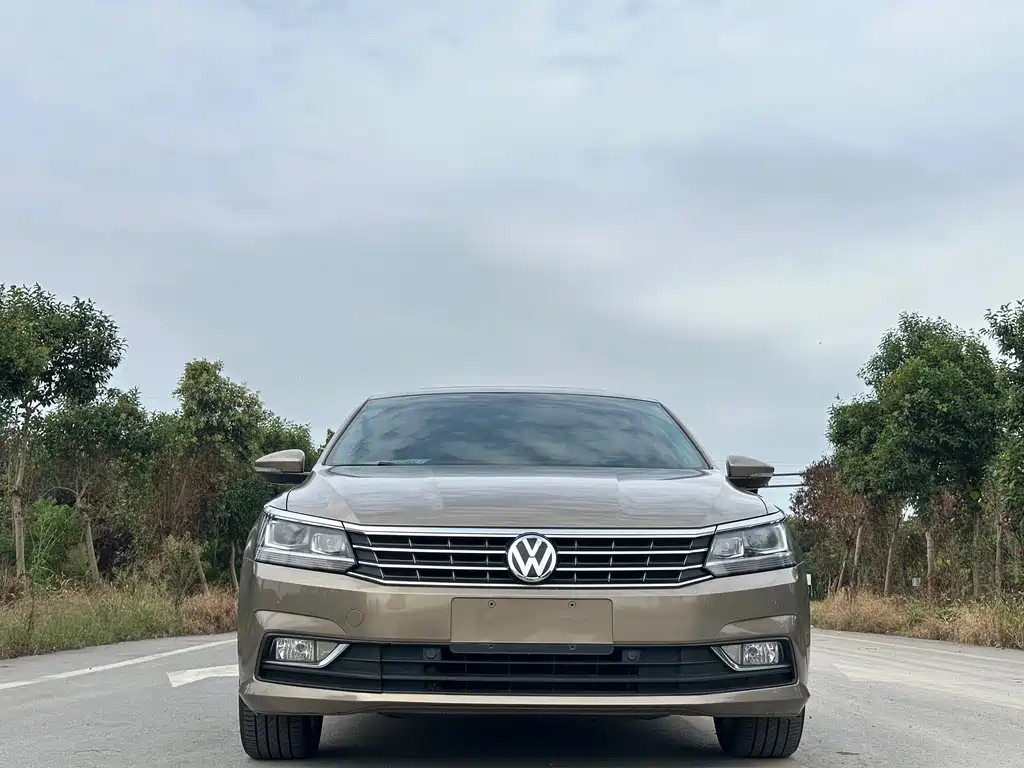 Volkswagen Passat — миниатюра 2