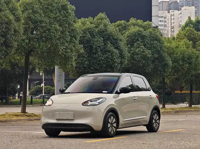 2023 Wuling Motors Binguo